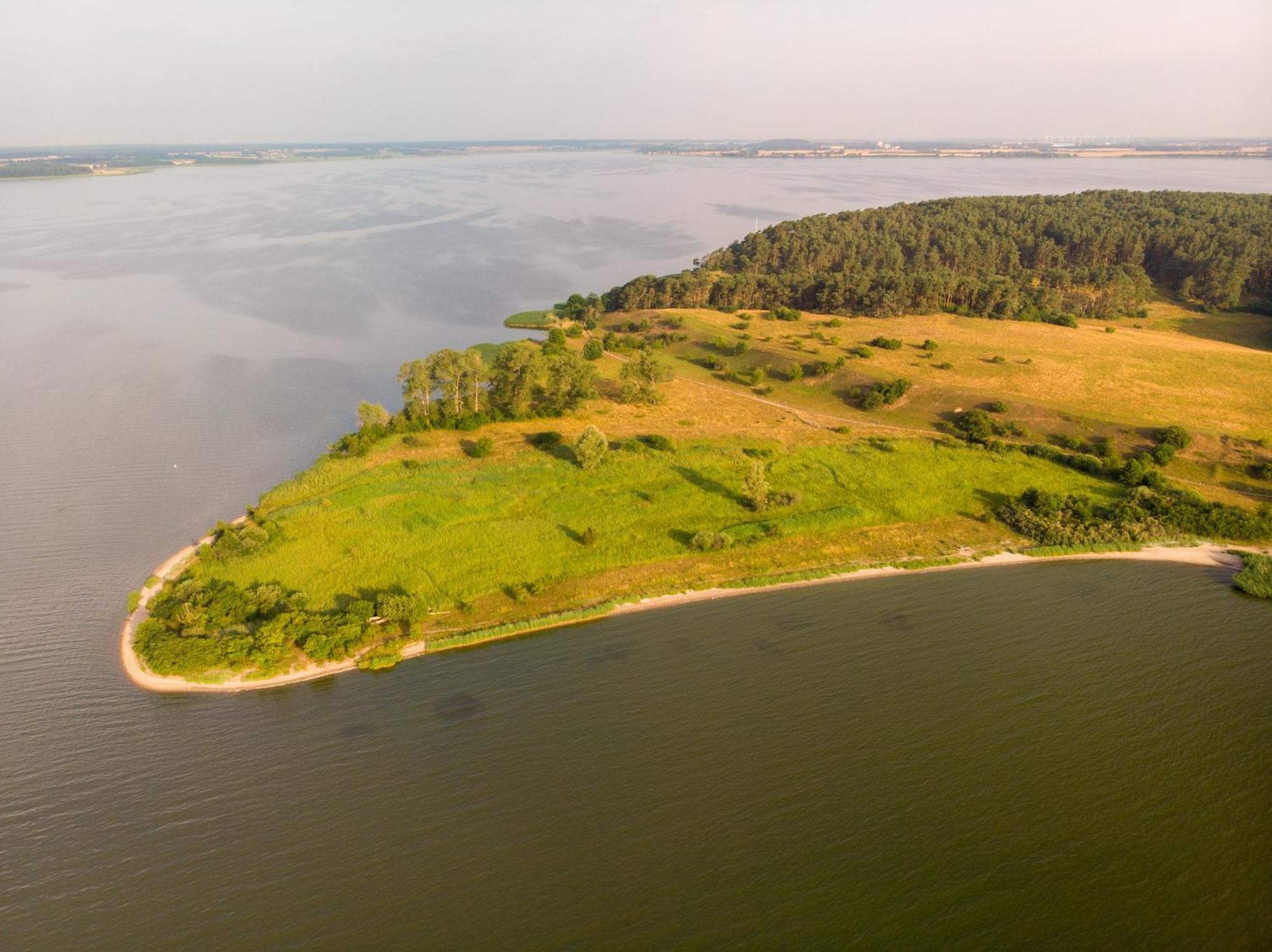Ostsee Ferienhaus Usedom Hundefreundlich Familie Stopp Haus 22 Lutow Buitenkant foto